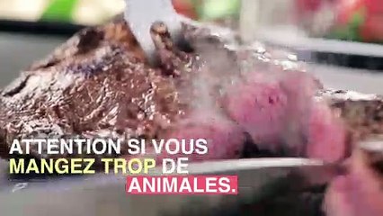Stéathose héaptique : attention aux protéines animales_
