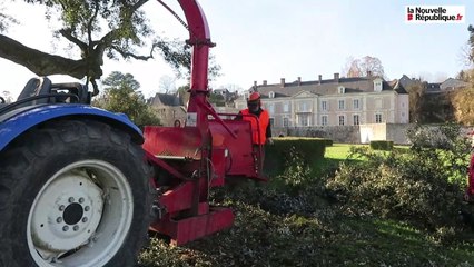 VIDEO. Le château de Saint-Denis-sur-Loire, terrain de jeu de prestige pour les élagueurs