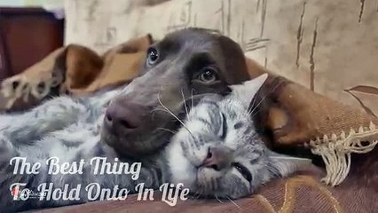 Wish You a Happy Valentine day to all from Myvalue365.com