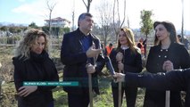 Nisma “Krijo oksigjenin tënd” vjen edhe në Tiranë - News, Lajme - Vizion Plus