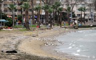 Yalova’da deniz 10 metre çekildi