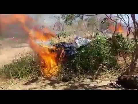 Polícia Federal e Militar erradica 7.812 pés de Maconha em Orocó-PE