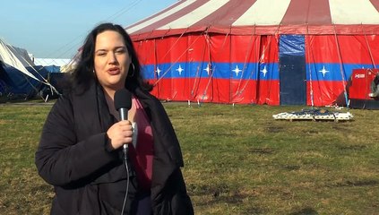 GOODLINES: 15th February 2019