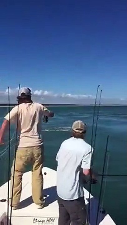 Ces pêcheurs ratent un requin sautant hors de l'eau pour les narguer !