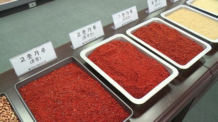 중국산 식자재 학교급식용으로 판매한 업자 구속 / YTN