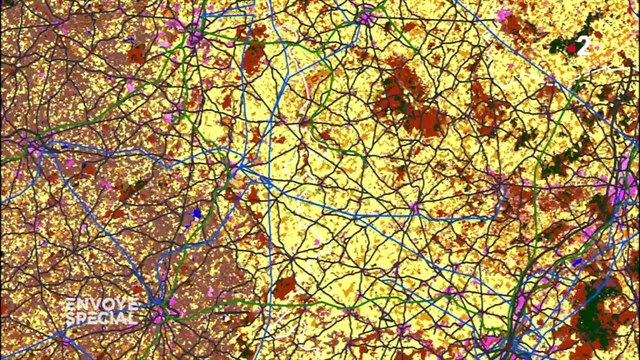 Vers la sixième extinction animale de la planète ?