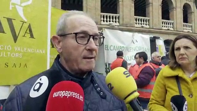 Miles de naranjas gratis contra la falta de gestión