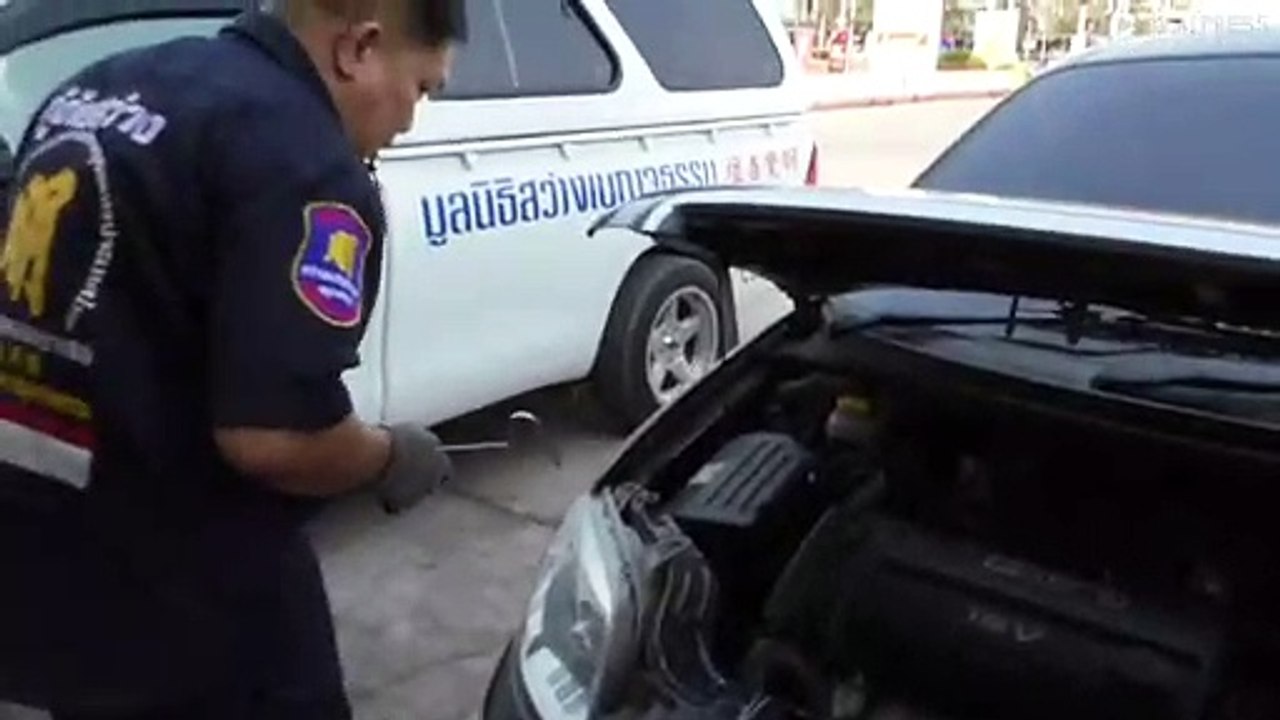 Python Found Curled Up In Chevrolet Engine
