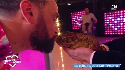 Cyril Hanouna embrasse un crapaud, Benjamin Castaldi en angoisse totale !