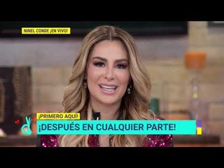 Entrevista con Ninel Conde: su hijo, Giovannni Medina y sus proyectos | De Primera Mano