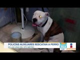 Policías rescatan a un perro en las vías del Metro de la CDMX | Noticias con Francisco Zea