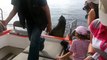 Quand une otarie grimpe dans le bateau de touristes... Pas timide l'animal