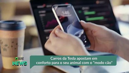 Carros da Tesla apostam em conforto para o seu animal com o "modo cão"
