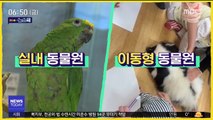 [강다솜의 뉴스픽] '우리'에 갇힌 동물들