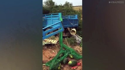 Hundreds Of Watermelons Spilled From Lorry