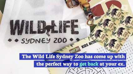 Australian Zoo Offers Opportunity to Name a Snake After Your Ex