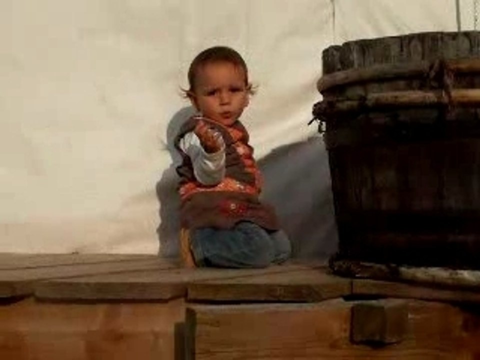 Llewelyn sur le pilotis de la yourte