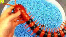 Learn Colors with Animals and Farm Surprise Toy for Kid Child with Foam Beads