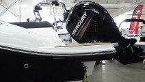 2019 Sea Ray SPX 190 Outboard For Sale MarineMax Rogers Minnesota