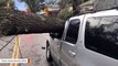 A Driver Had To Be Rescued After A Tree Fell And Trapped Her Inside SUV