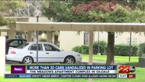 More than 30 car vandalized in parking lot