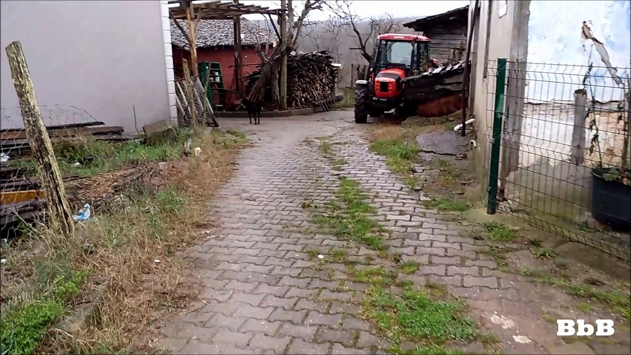 Huzura Yolculuk