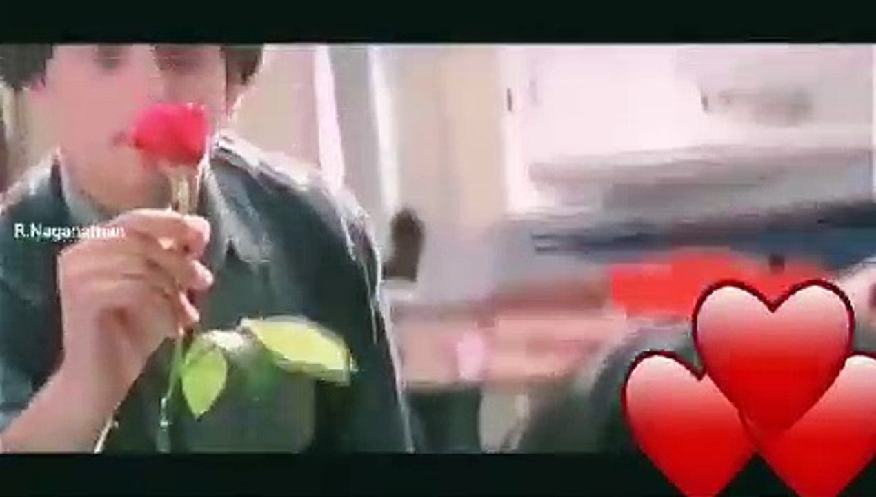 VID_20190215_090815