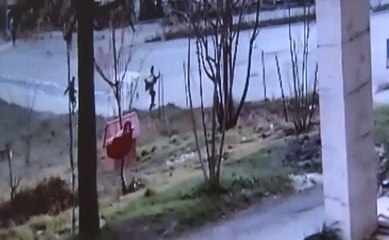 Bursa'da Köpek Dehşeti Kameraya Böyle Yansıdı