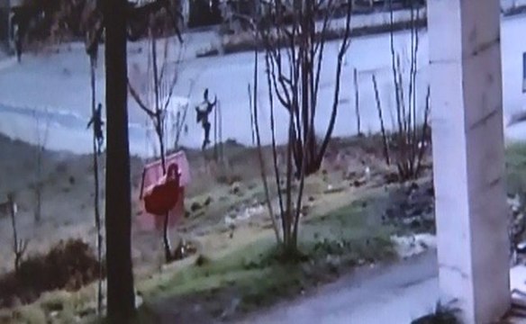 Bursa'da Köpek Dehşeti Kameraya Böyle Yansıdı