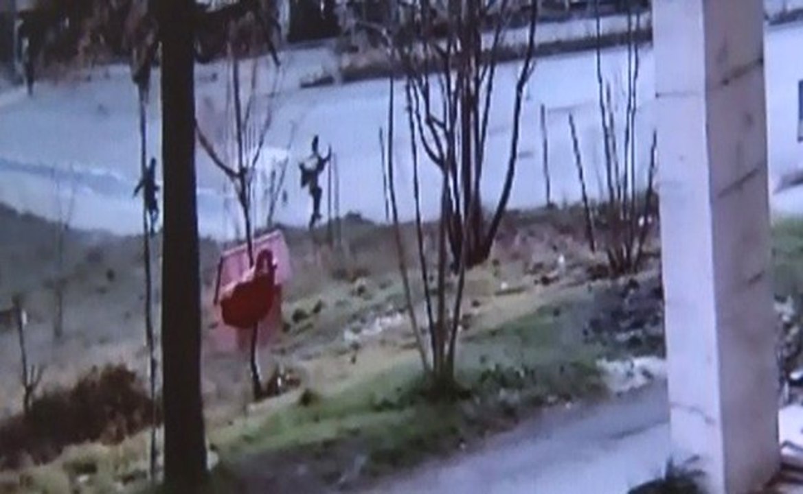 Bursa'da Köpek Dehşeti Kameraya Böyle Yansıdı