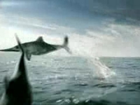 Pub Guinness (Evolution)