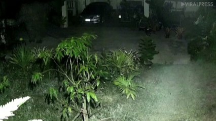Elephants Breaks Into Garden And Steals Bananas