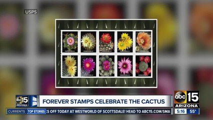 USPS stamps honor cactus flowers