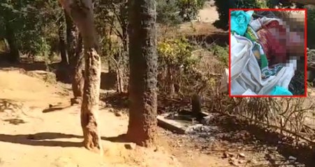 Yeğenini Öldürüp Kanını İçen Cani Kadın Gözaltına Alındı