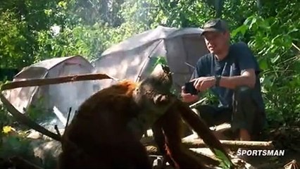 Meateater S05 E06