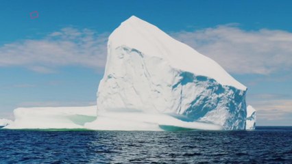 Thieves Steal Enough Iceberg Water To Make 150,000 Bottles of Vodka