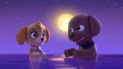 Børnepalads Elastisk kantsten Paw Patrol Full Episodes videos - Dailymotion