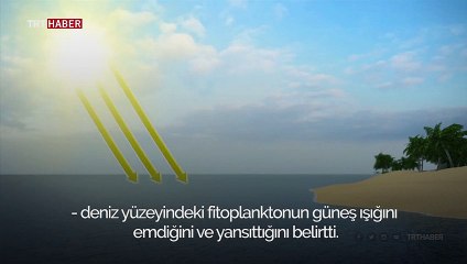 Okyanuslar 21. yüzyılın sonuna kadar renk değiştirecek
