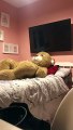 Déguisée en ours en peluche géant elle surprend sa fille !