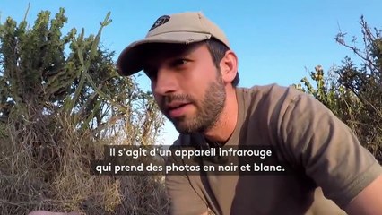 Découvrez les coulisses de la très rare photo d'une panthère noire sauvage au Kenya