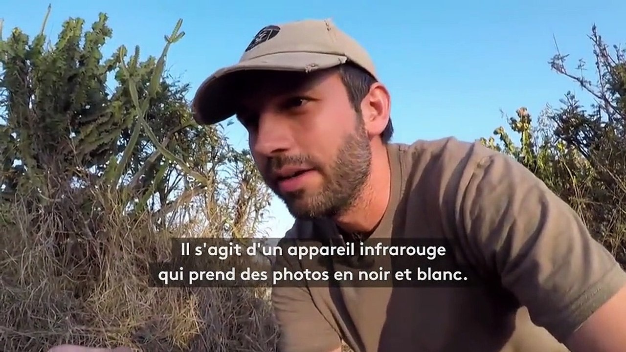 Découvrez les coulisses de la très rare photo d'une panthère noire sauvage au Kenya