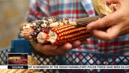 Grow Observatory works with citizens to tackle climate chang