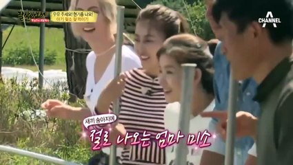 원주출장안마 -신용100%Ø1Øg2997g5327【카톡MGM1472】원주전지역출장마사지샵'원주출장wo안마gf원주출장마사지황형♪⇔∃최강몸매조건만남