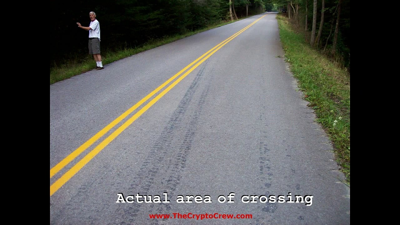 Bigfoot tracking a legend Trailer