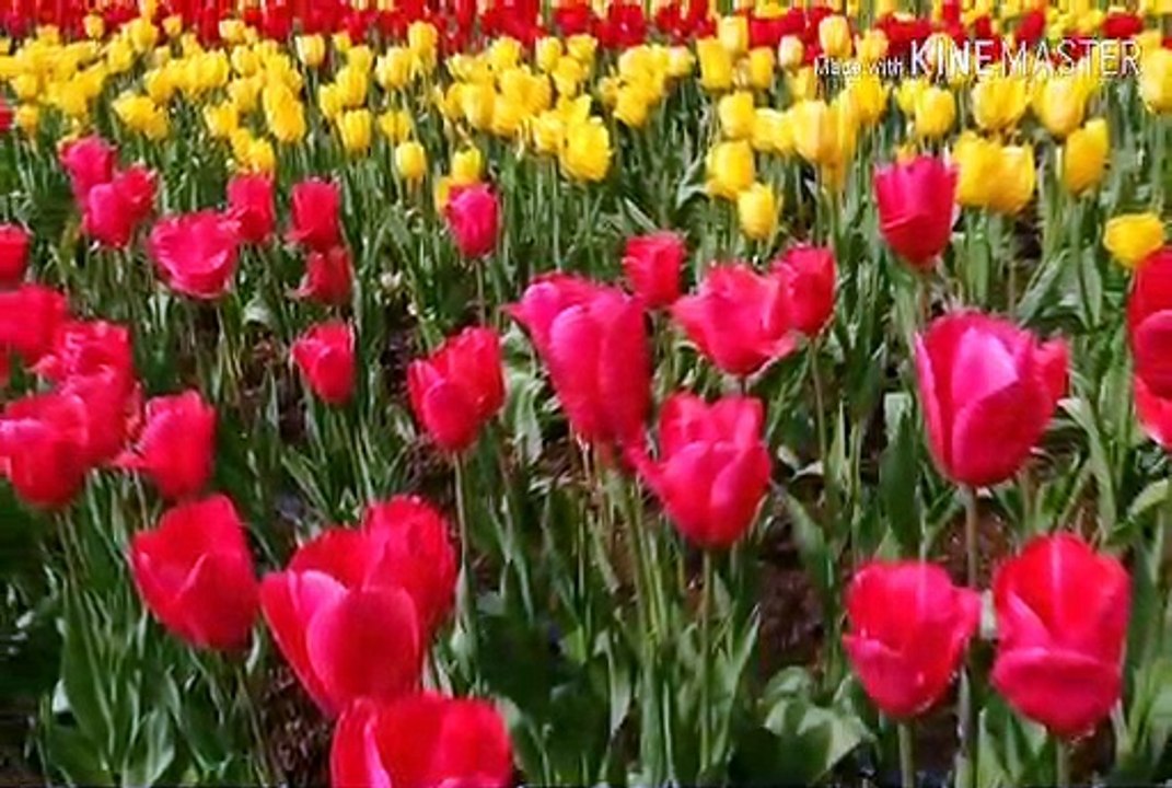 ***  दूसरों के अधीन सुख नहीं मिलता:An inspirational story