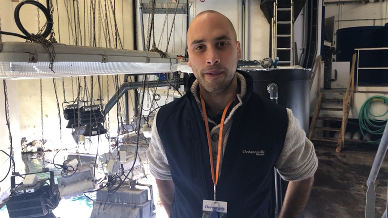 Brest. Océanopolis propose des visites de ses coulisses