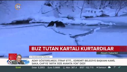 Buz tutan kartal kurtuldu