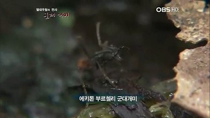 여수출장안마 -100%미인Ø7Øs4110s6674【YOY87카톡】여수전지역출장마사지샵여수출장go안마ok여수출장마사지황형プポマ출장아가씨출장안마후기