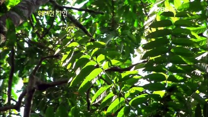 진주출장안마 -100%미인Ø7Øs4110s6674【YOY87카톡】진주전지역출장마사지샵진주출장go안마ok진주출장마사지황형◐▤▥20대매니저마인드최고