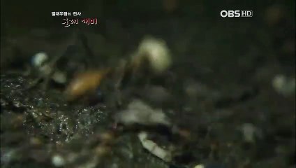 목포출장안마 -100%미인Ø7Øs4110s6674【YOY87카톡】목포전지역출장마사지샵목포출장go안마ok목포출장마사지황형∩⊂◈모텔출장20대매니저